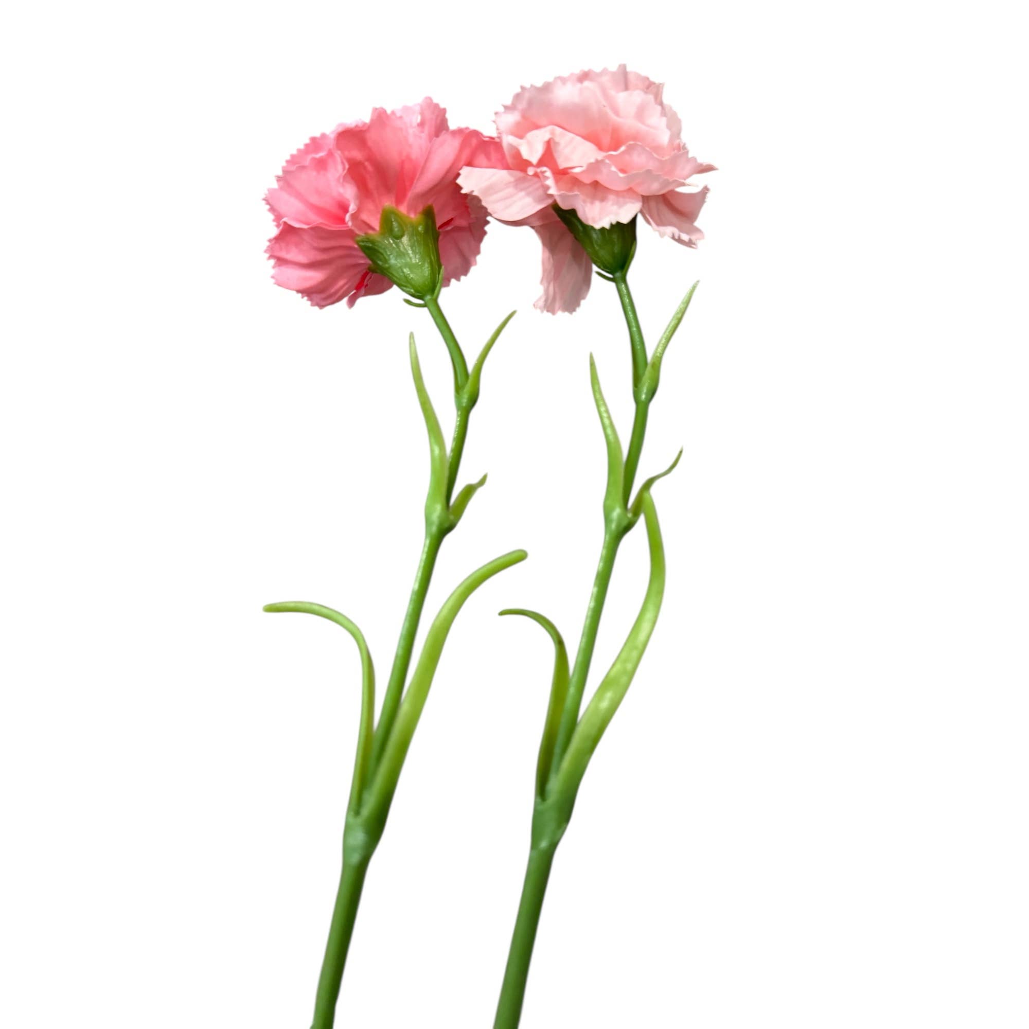 Angel Isabella – wholesale Artificial flowers – 19.5"-Real Touch Classic Artificial Carnation 3