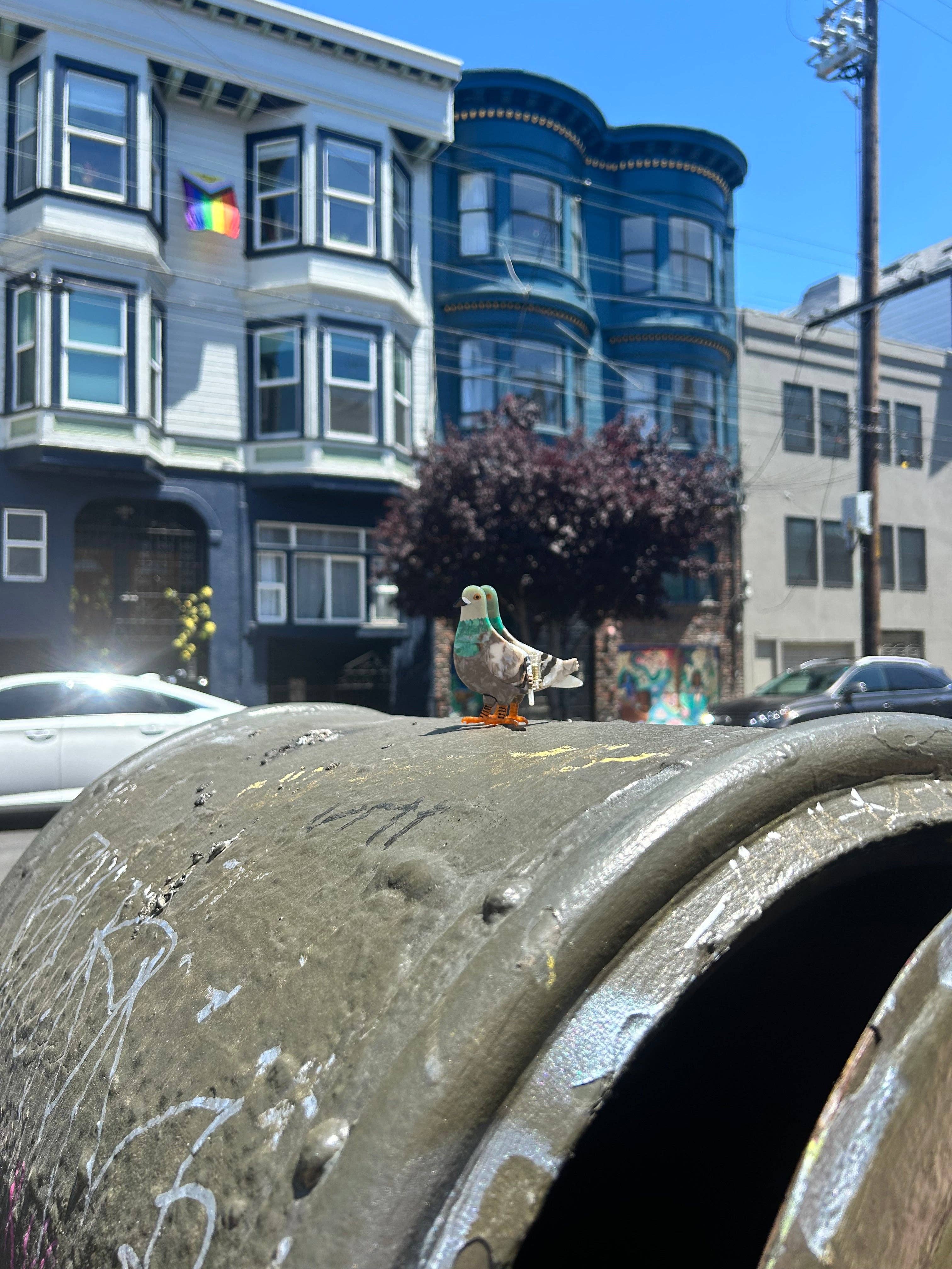 The Peach Fuzz - Wholesale Hair Accessories Set - Women's - Pigeon Hair Claw1