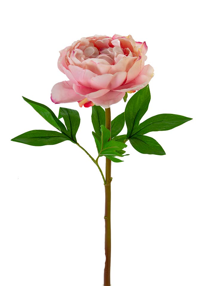 American Best - Wholesale Artificial Flowers - 26" REAL TOUCH PEONY STEM4