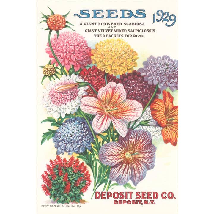 Greeting Card GD-75 Seed Catalogue with Flower Assortment for wholesale by Found Image Press