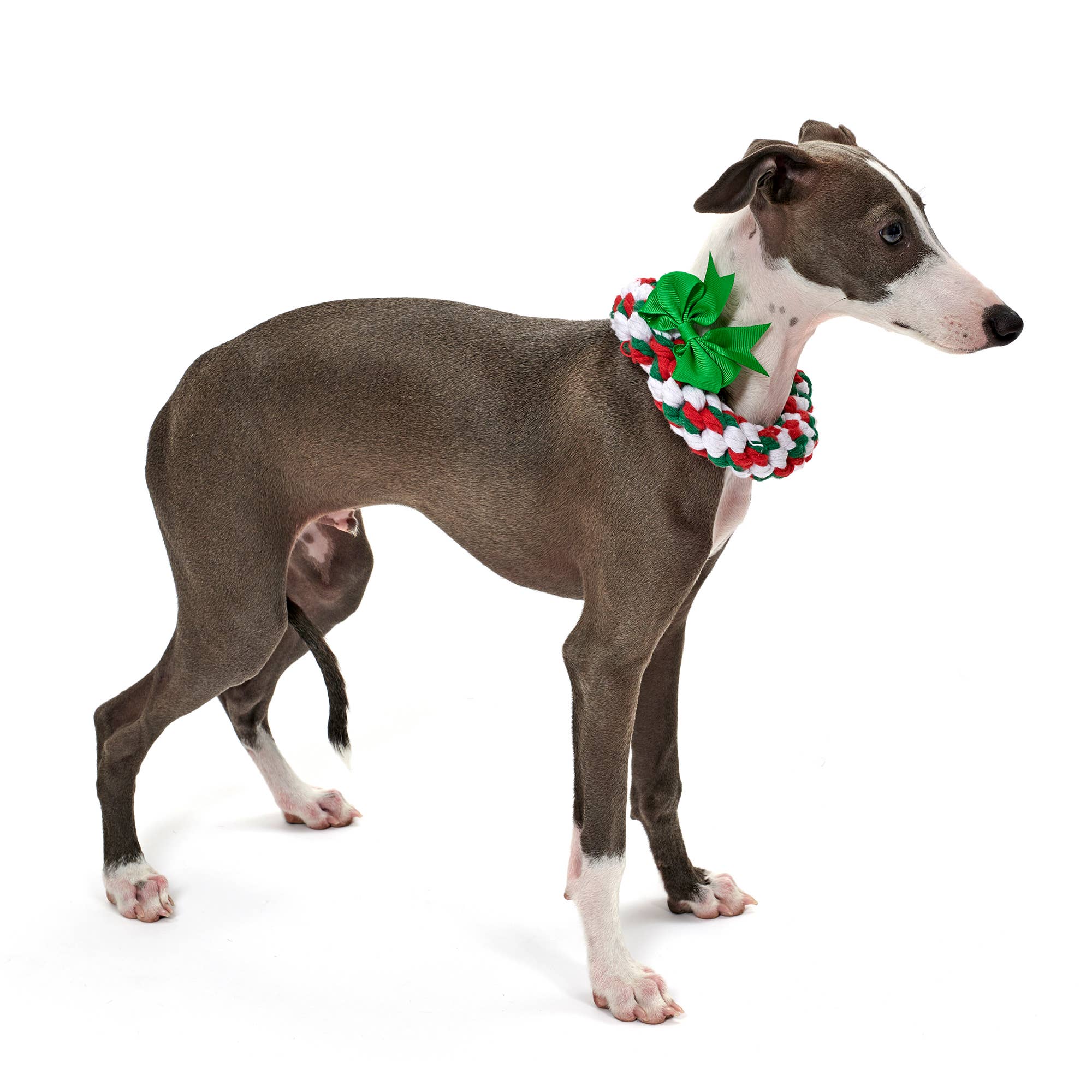 Jax & Bones - Vendita all'ingrosso Giocattolo di corda - Cani - Giocattolo a forma di cuore natalizio (taglia unica)4