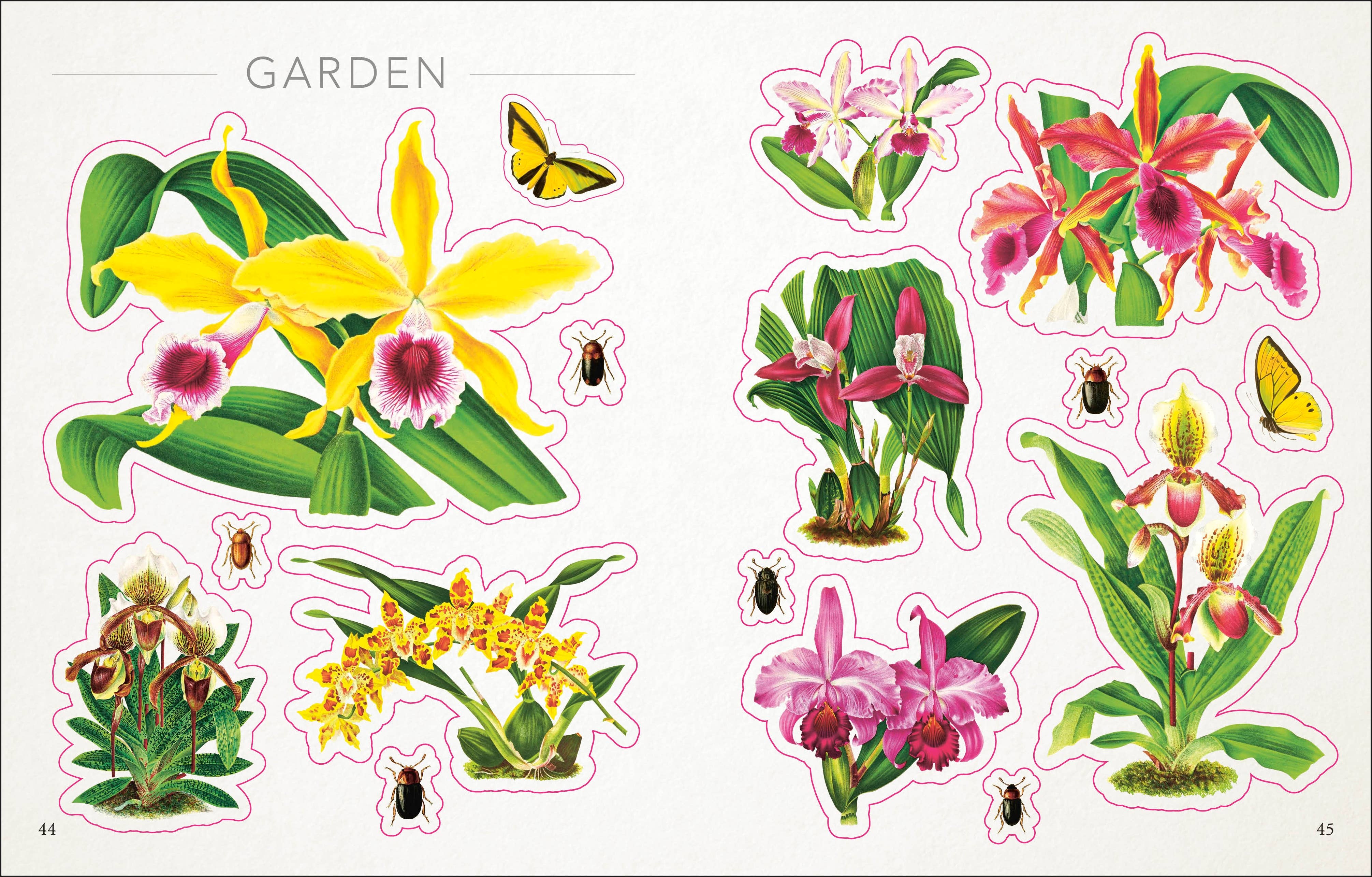Penguin Random House LLC - Wholesale Sticker - Botanist's Sticker Anthology2
