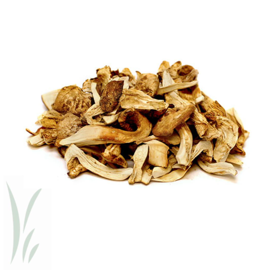 Mikuni Wild Harvest USA - Wholesale Dried/Dehydrated Vegetables - Dried Wild Matsutake Mushrooms / 20 g.2