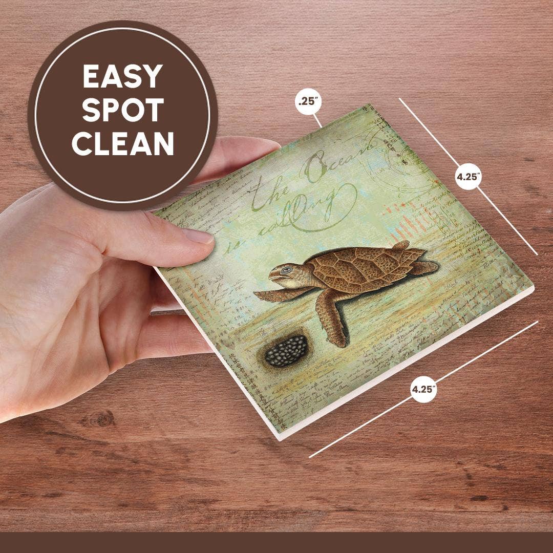 3dRose - Wholesale Coasters - 3dRose, Vintage Illustration Of Sea Turtle And Nest, Coaster6