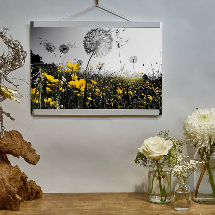 Impressão fotográfica de 'Dandelions' em escala de cinza por atacado de Fantasywire