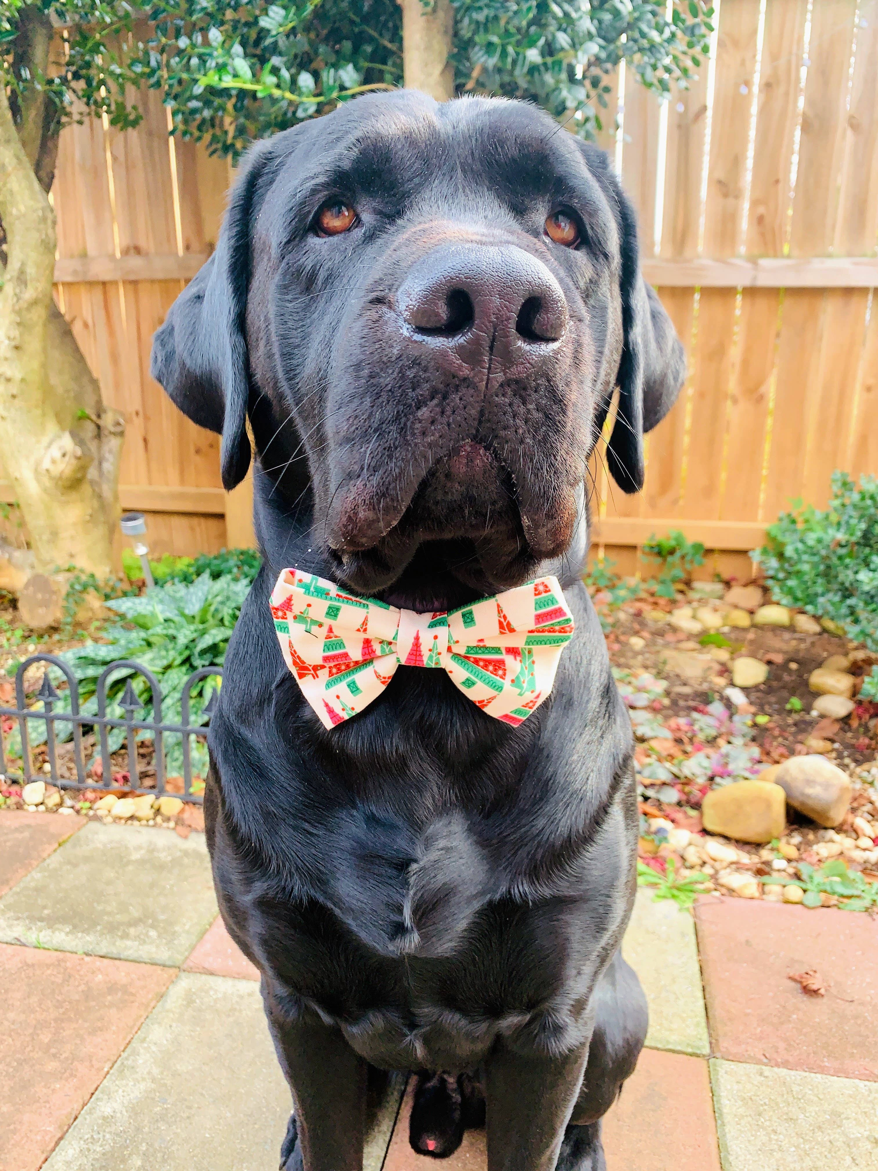 Walking Paws Boutique - Wholesale Pet Bow Tie - Dog - Assortment pet bowties, adjustable and removable, holiday8