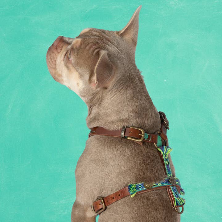 Boho Juan Y-Harness M (Chest Size 54.5-68 cm) voor wholesale door Dog with a Mission