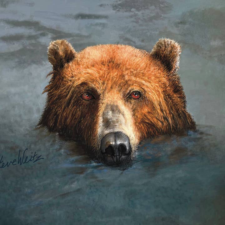 Bear in Water on Canvas print for wholesale by Steve Weitz Art