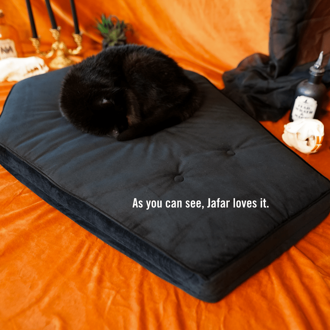 Goth Cloth Co. – wholesale Pet bed – Cat/dog – Critter Coffin - Coffin Shaped Memory Foam Pet Bed for Dogs & Cats4