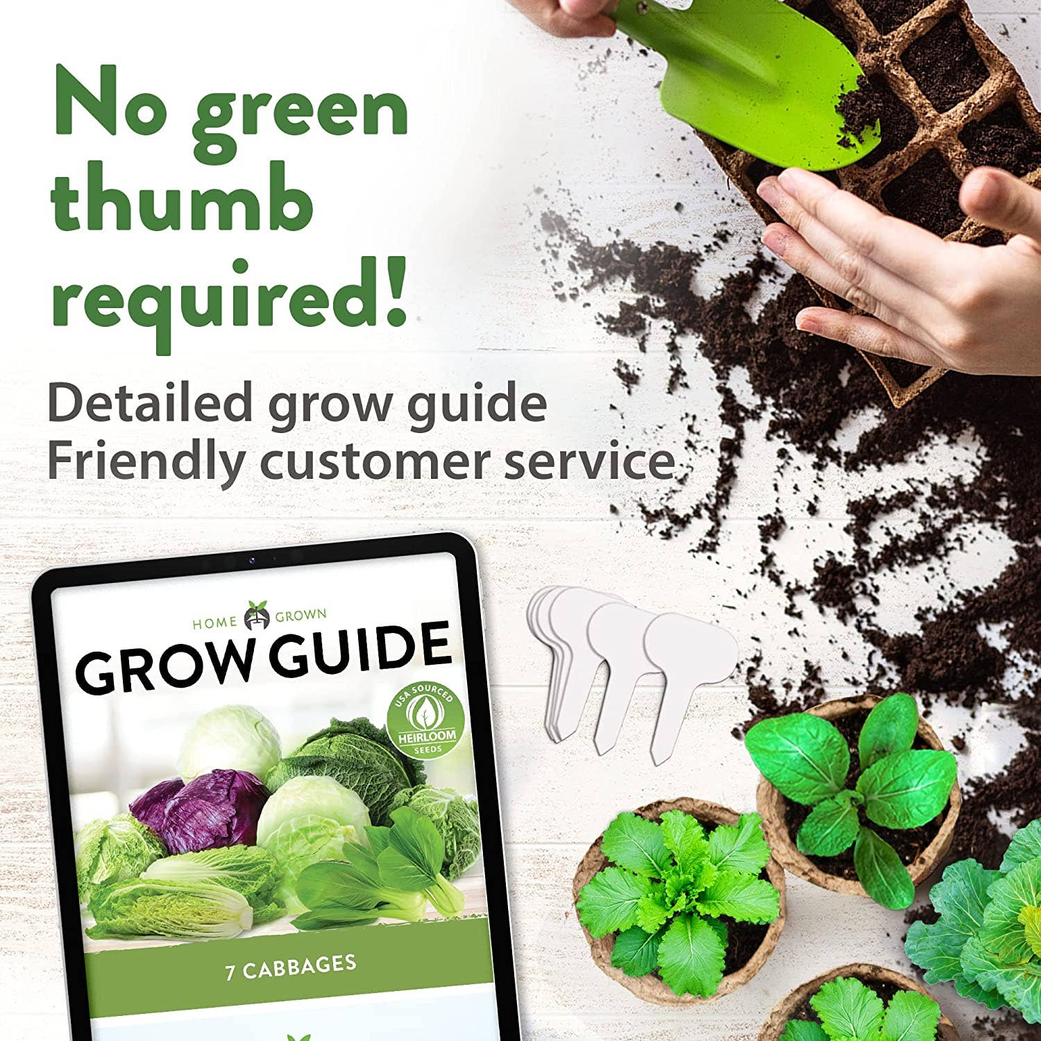 Homegrown Garden - Wholesale Plant Seeds - Non-GMO Vegetable Seeds - 7 Varieties Cabbage Seeds5