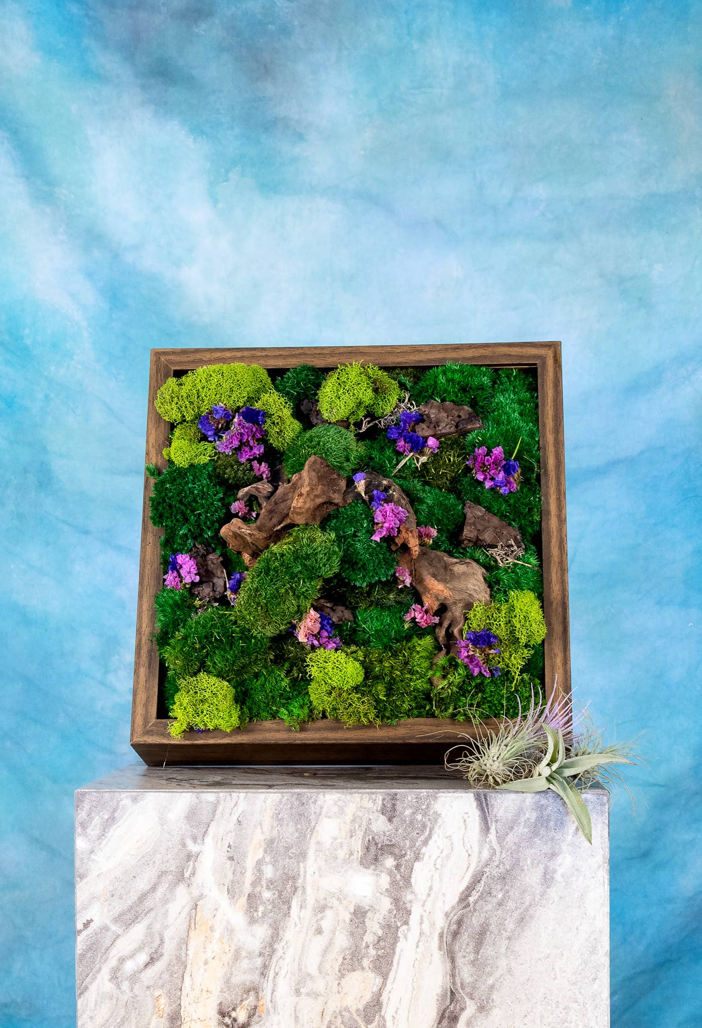 TERRART NYC - Wholesale Wall Planter - Moss Heaven - Moss Wall9
