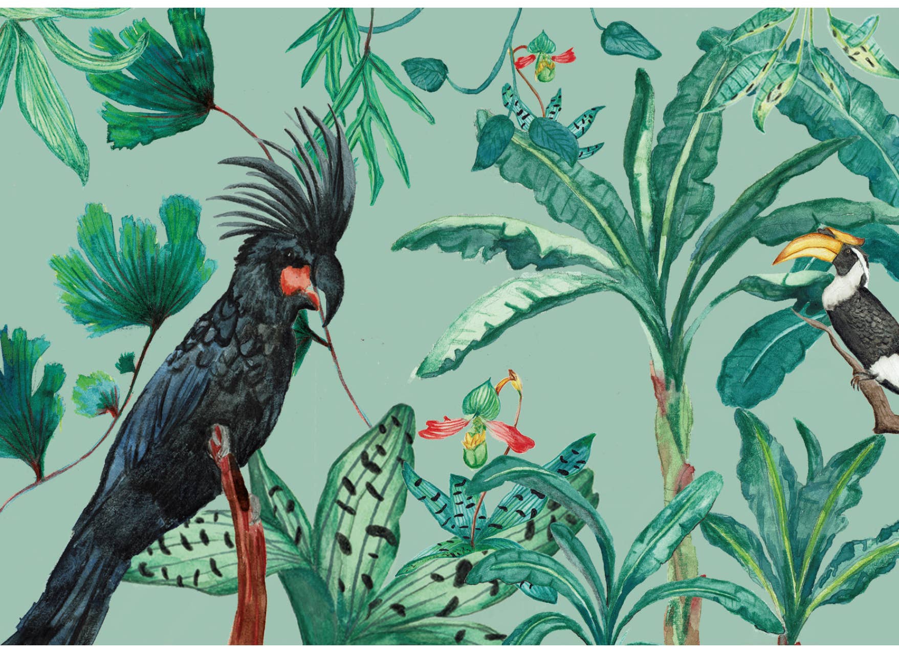 Green Botanic &INK Cardset for wholesale on Faire2