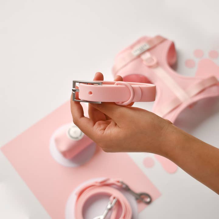 NAKD Collar - Candyfloss for wholesale by Cocopup London