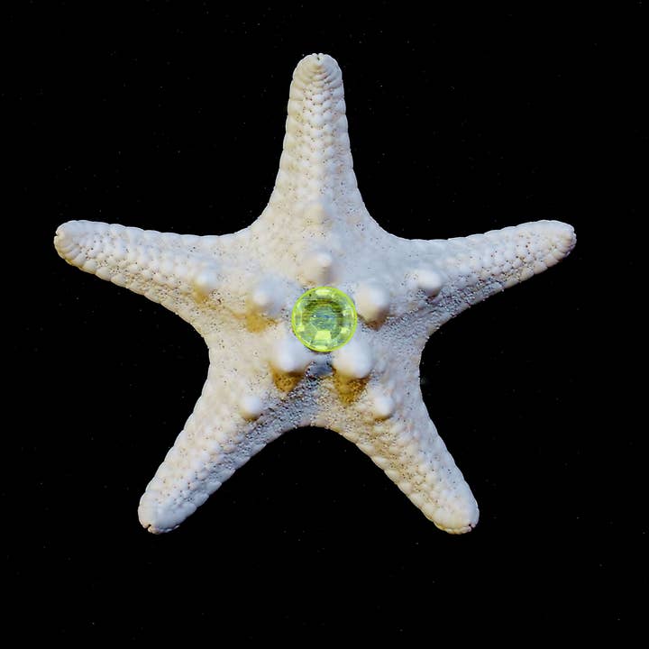 Shell We Sea Designs – wholesale Samlarobjekt mynt – Birthstone/Charka Sten Sjöstjärna nyhet gåva