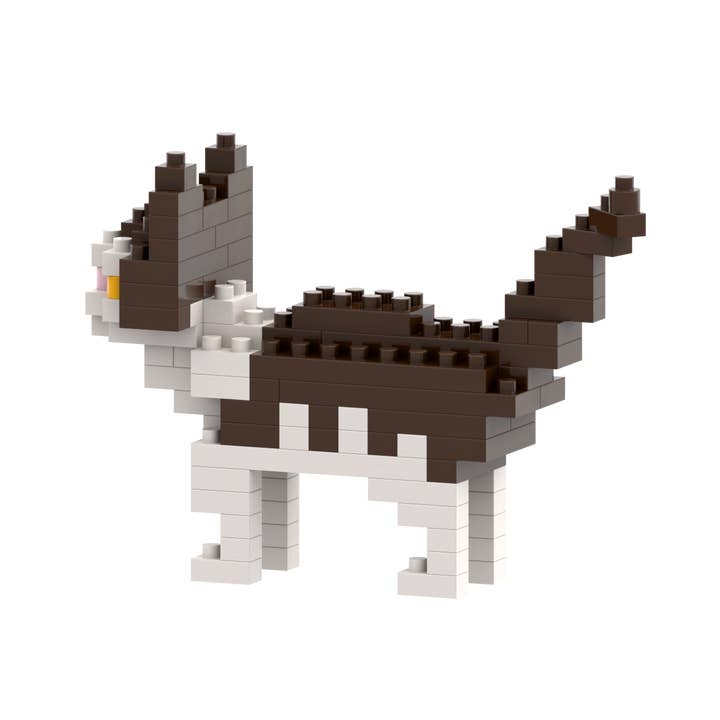 Brixies - Vendita all'ingrosso Gioco da costruire - Bambini - Gatto domestico BRIXIES1