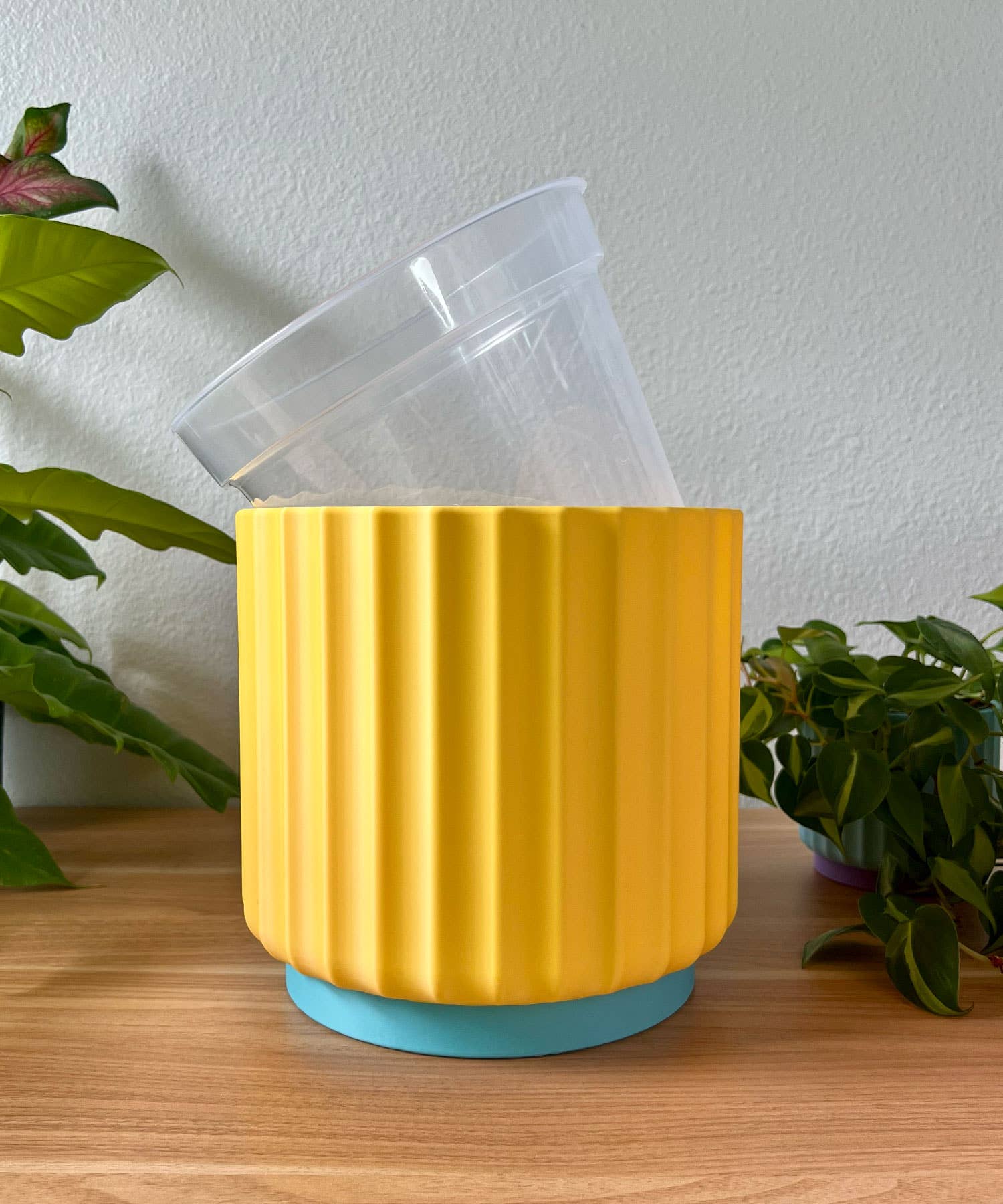 Daisy Wood Design - Wholesale Plant Pot - Bold Color Pop 8" Planters – Colorful Dreamhouse Singles7