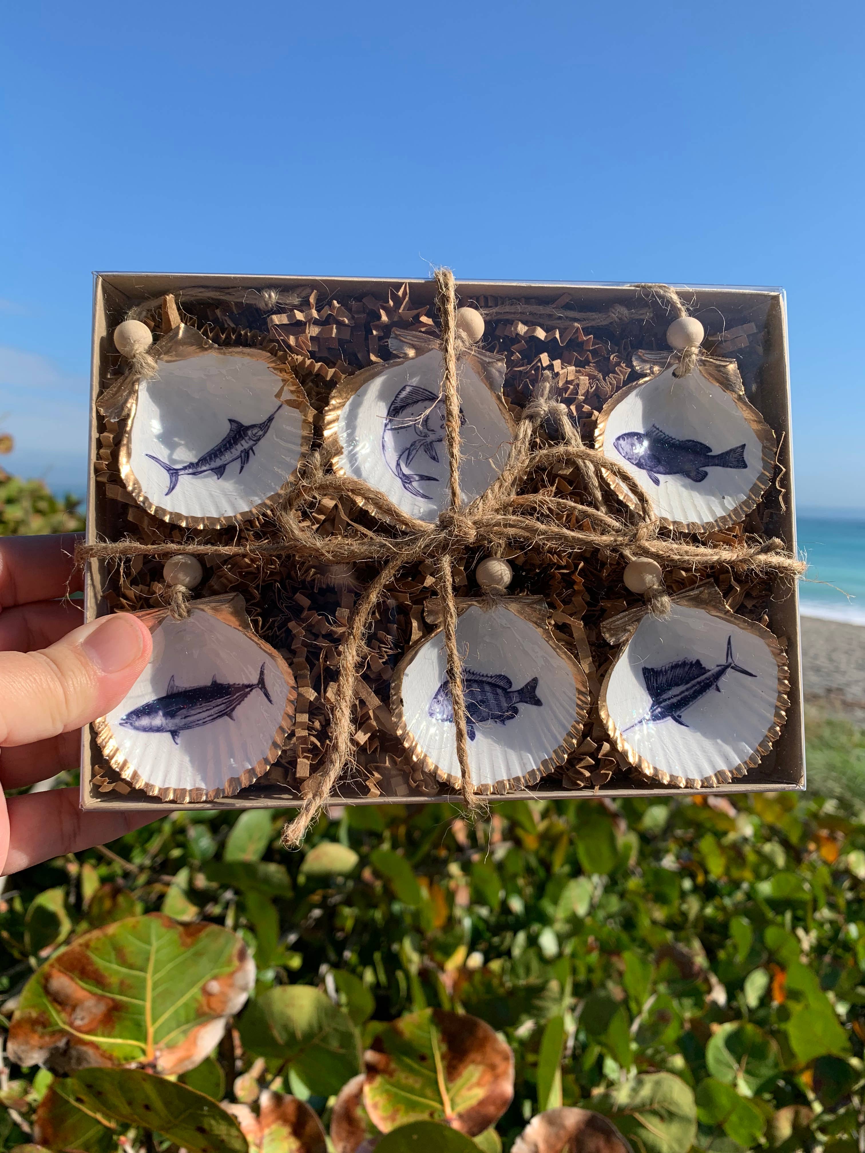 DogFish Design 13 – Großhandel Verzierungs-Set – Fisch Mini Shell 6 pk4