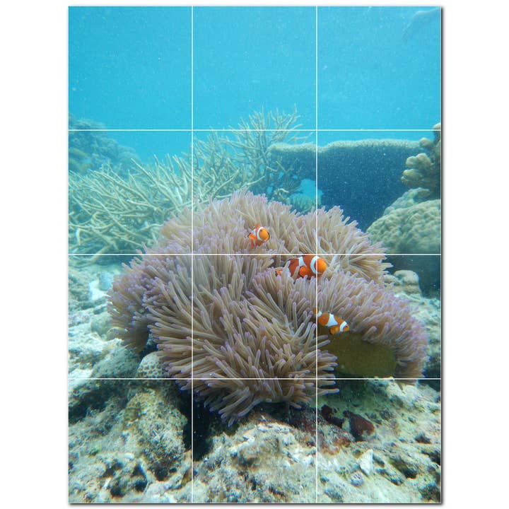 Sea Life Keramikfliesen-Wandbild PT500431 für den Großhandel von Picture-Tiles.com