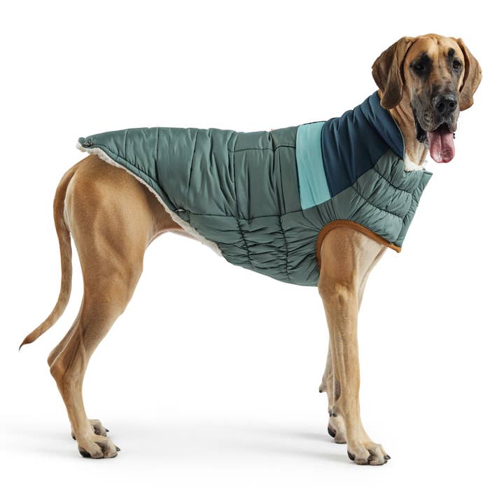 GF Pet - Vente Manteau – chien - Camplife Puffer - Vert sauge3
