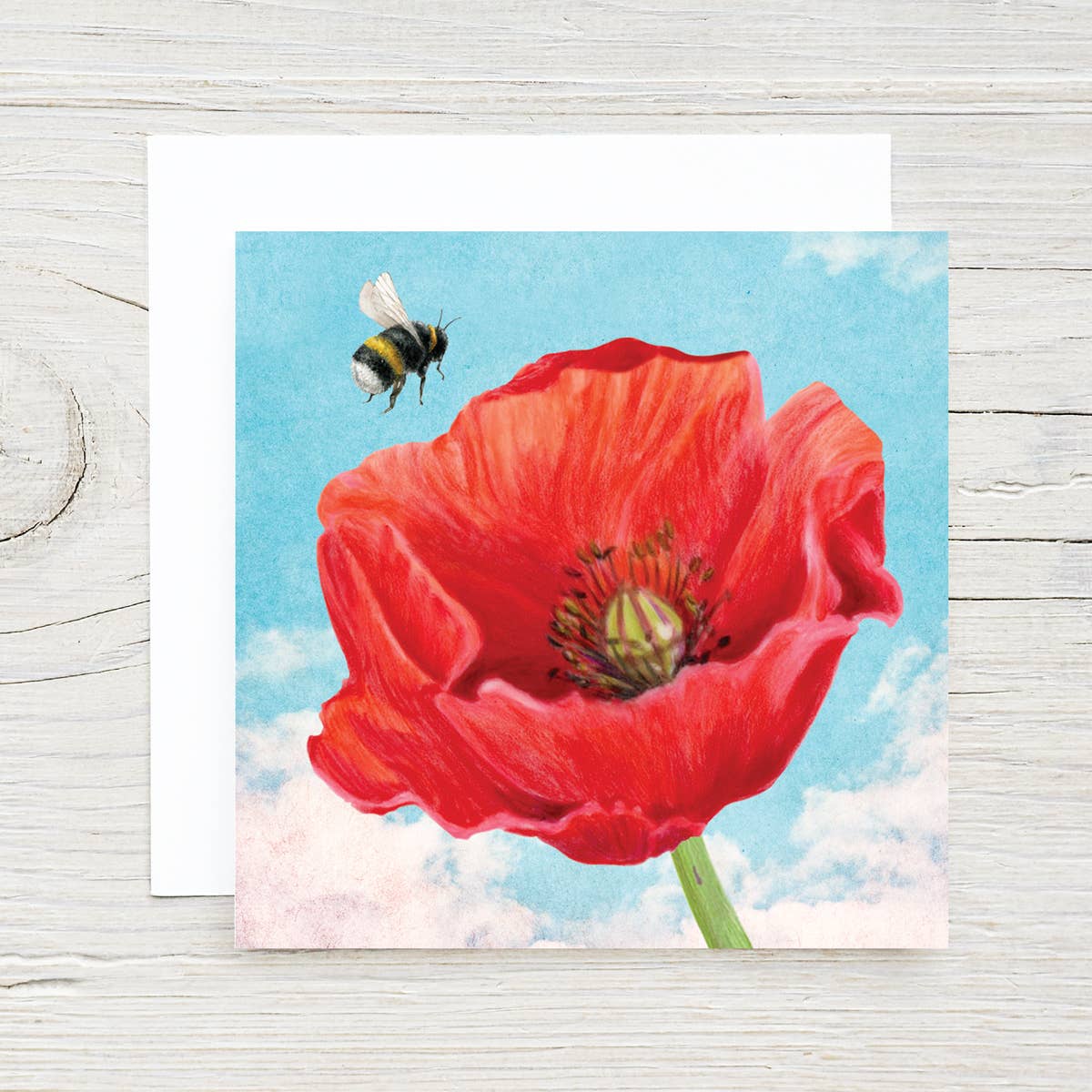 Brook Isle - Wholesale Everyday Greeting Card - Poppy Gift Card
