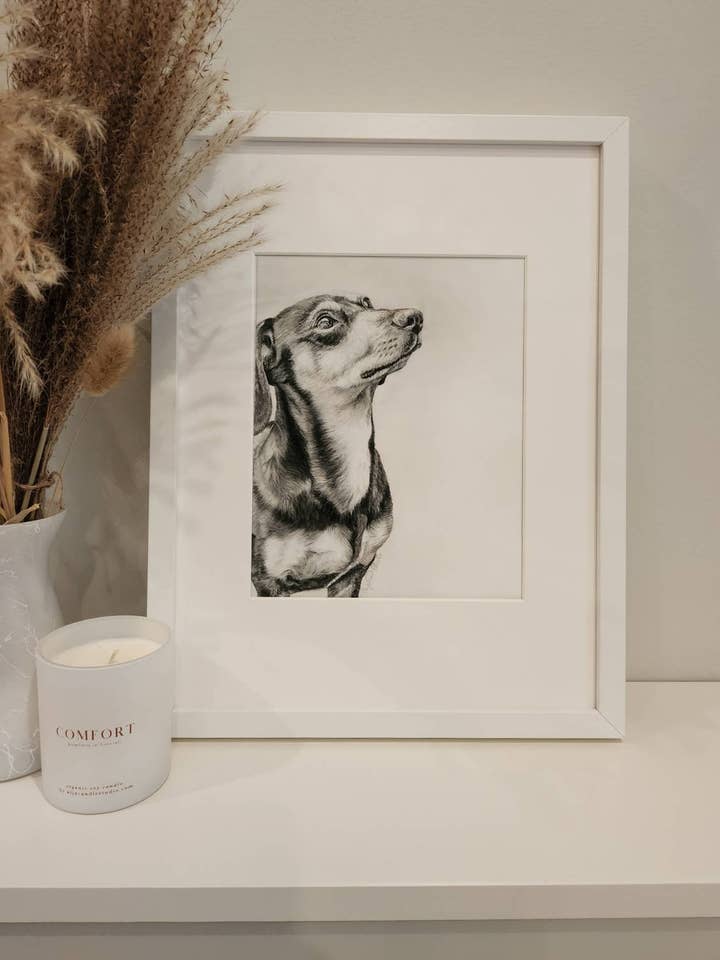 Dachshund Fine Art Giclée Print for wholesale by Crystal Clarke Animal Art