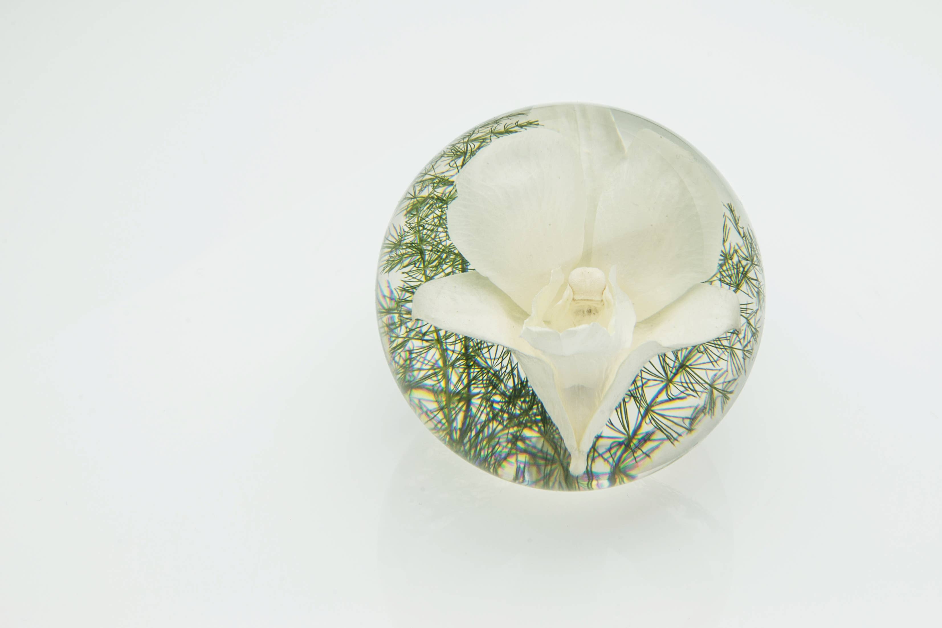 Hafod Grange Ltd - Wholesale Ornament - Orchid Paperweight