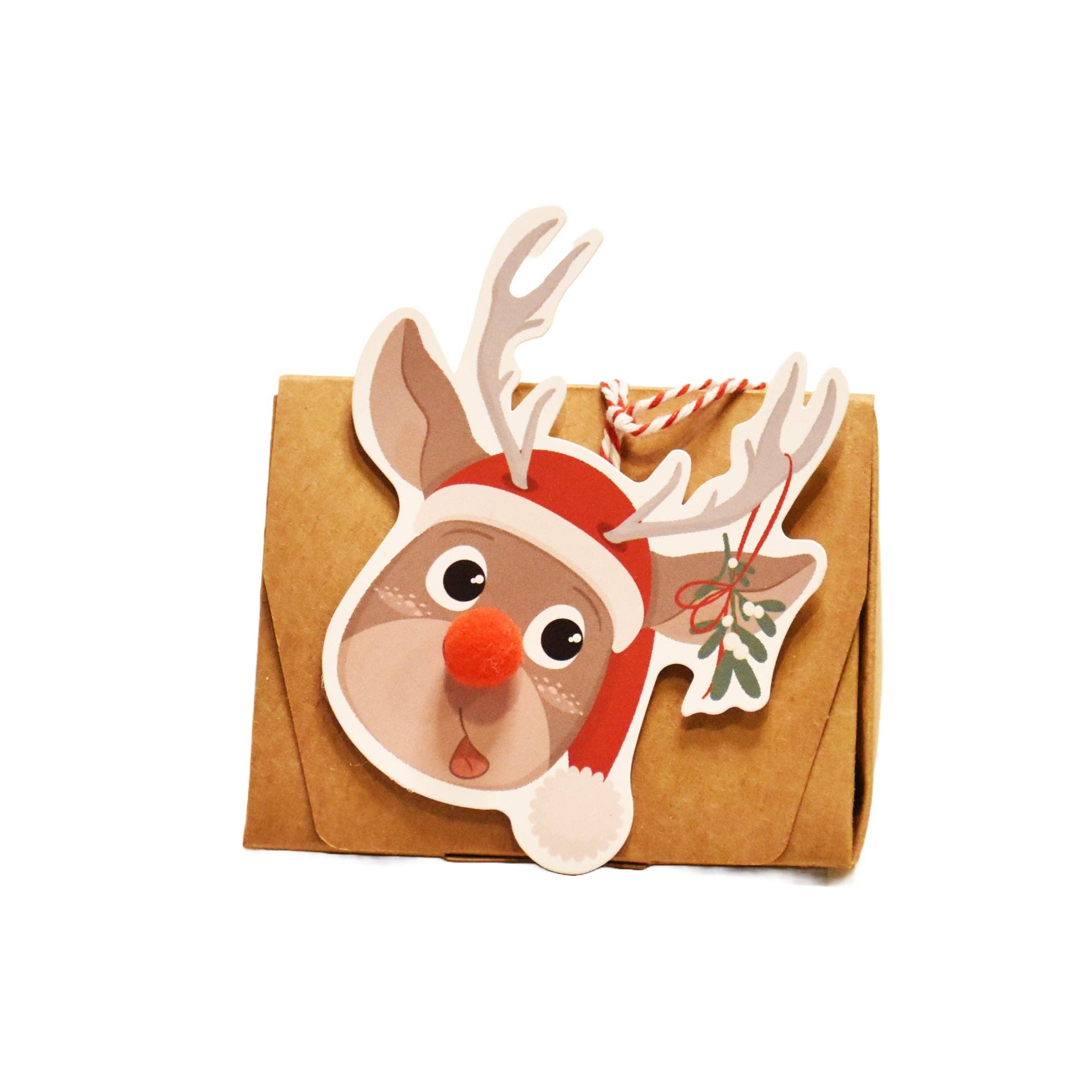 Wunderle GmbH - Wholesale Chocolademelk/cacaomix/kit - Rudi rendierkabouter cadeau met drinkchocolade1