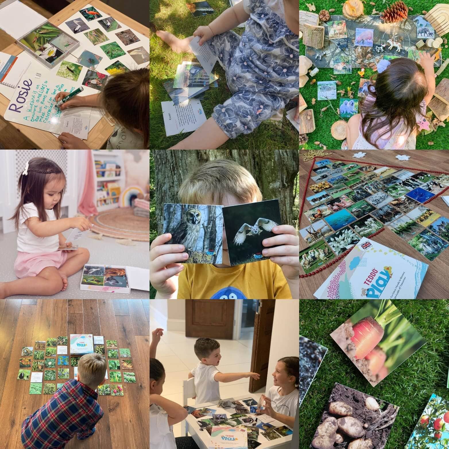 Teddo Play – Großhandel Lernkarten – Kind & Baby – Multi-Bundle mit 13 Lernsets Lernspiele für Kinder3