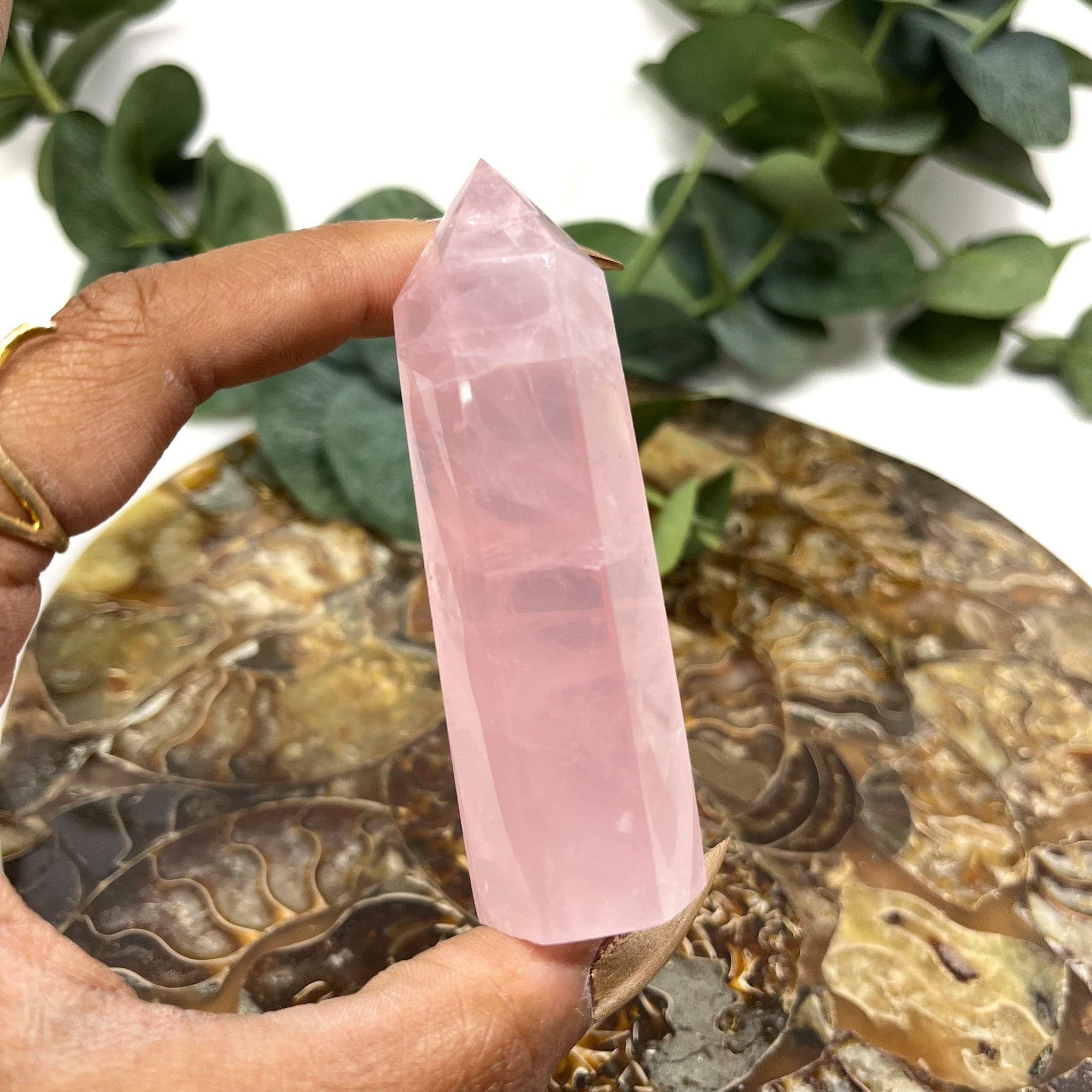 The Crystal Tabby - Wholesale Spiritual Stone/Crystal - Rose Quartz Point1