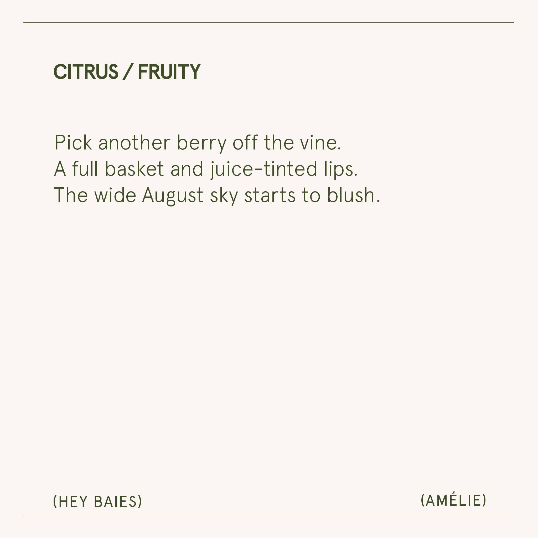 La Jolie Muse - Wholesale Jar/Filled Candle - Scented Candle - Hey Baies - 11oz | La Jolie Muse6