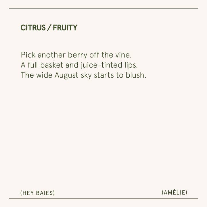 La Jolie Muse - Wholesale Jar/Filled Candle - Scented Candle - Hey Baies - 11oz | La Jolie Muse6