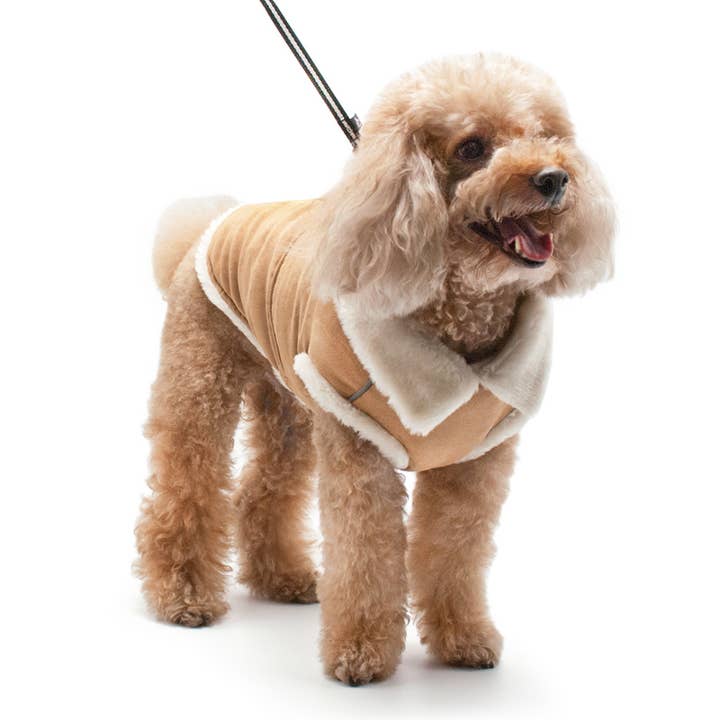 Dogo Pet - Wholesale Pet Coat - Dog - Furry Runner Coat45