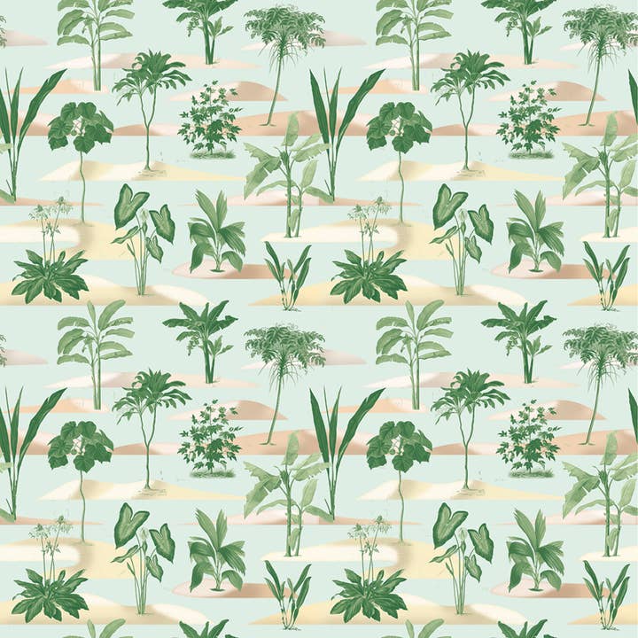 Oasi per la vendita all'ingrosso da parte di Quinsaï