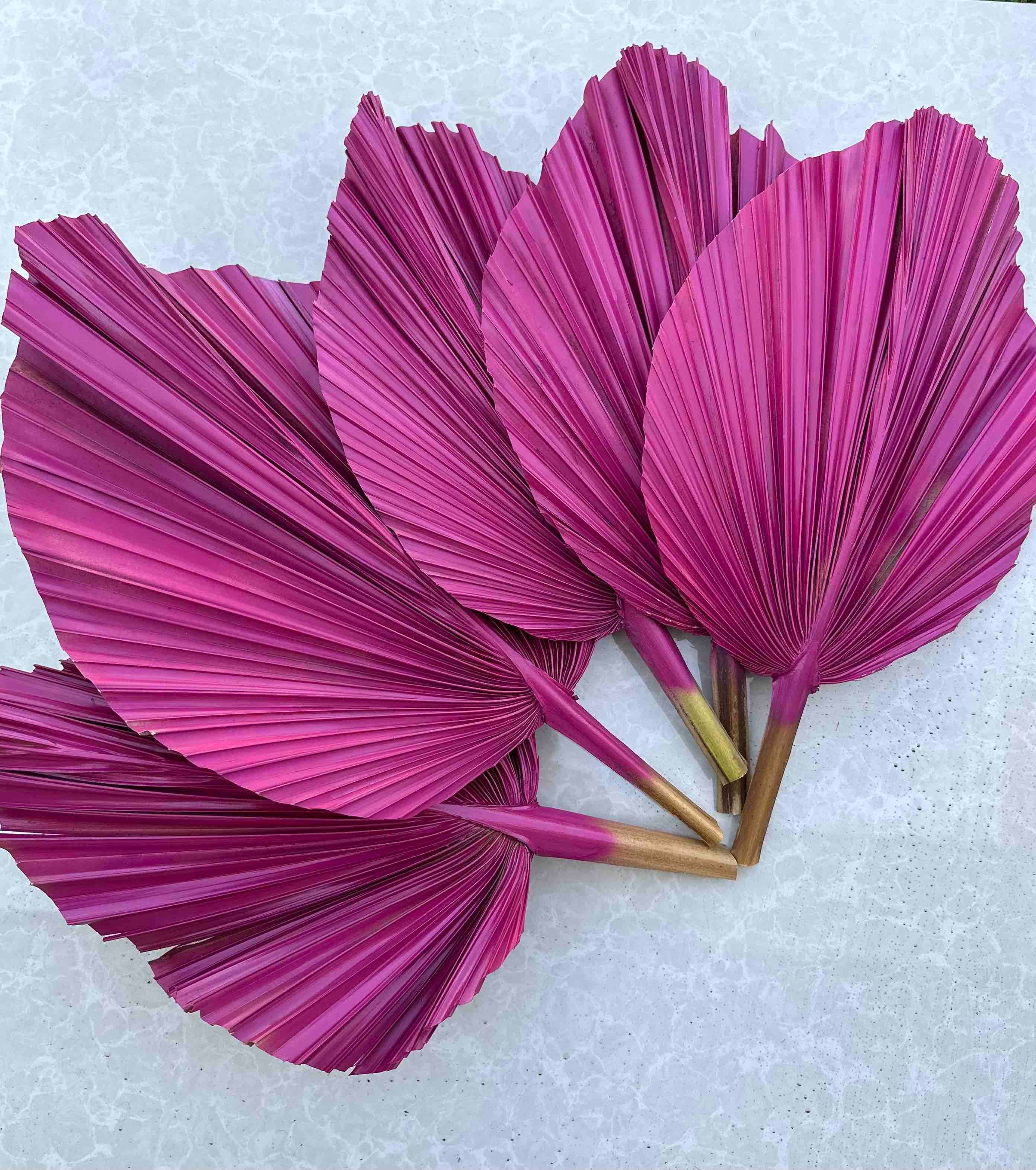 The Blooming Palm - Wholesale Retailer Sample - Home Decor - 14" PINK SunDried Painted Palm Leaf Decor, SAME DAY SHP  11