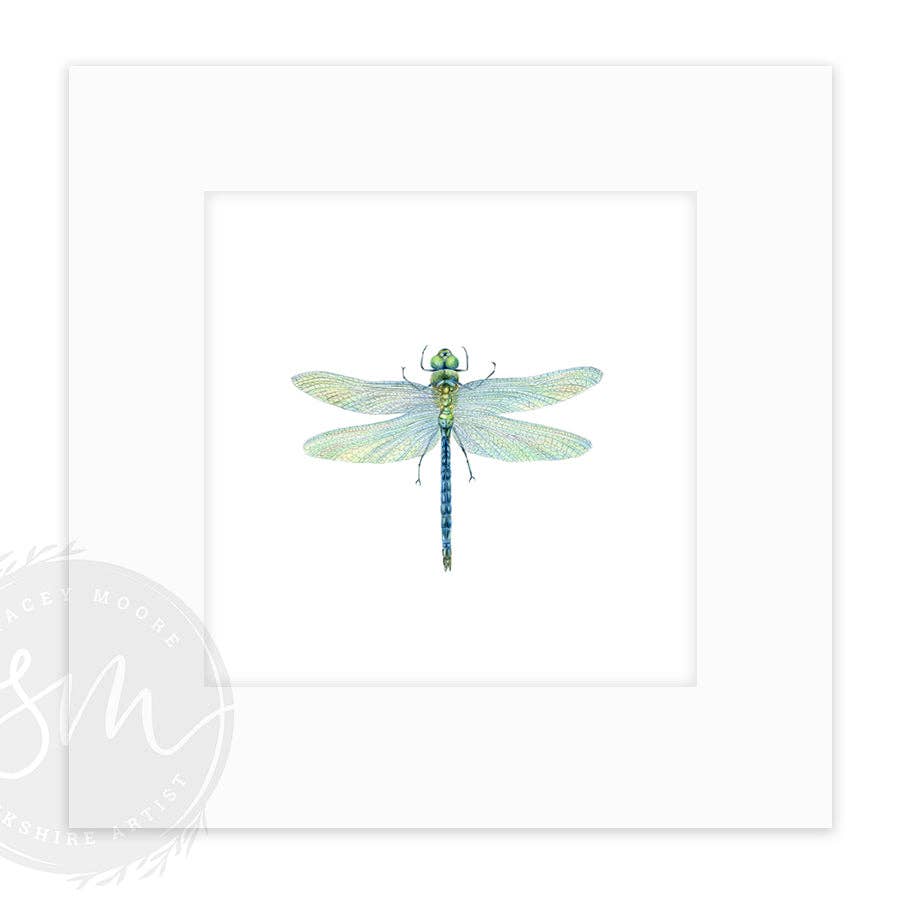 Stacey Moore Ltd - Wholesale Art Print - Dragonfly0