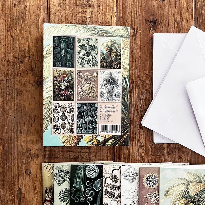 Koustrupco - Wholesale Stationery/Notecard Set - Ernst Haeckel cardfolder w/ 8 cards and envelopes4