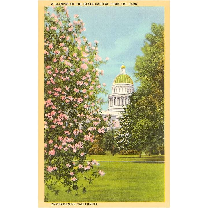 Postcard CA-45 State Capitol, Sacramento, California for wholesale by Found Image Press