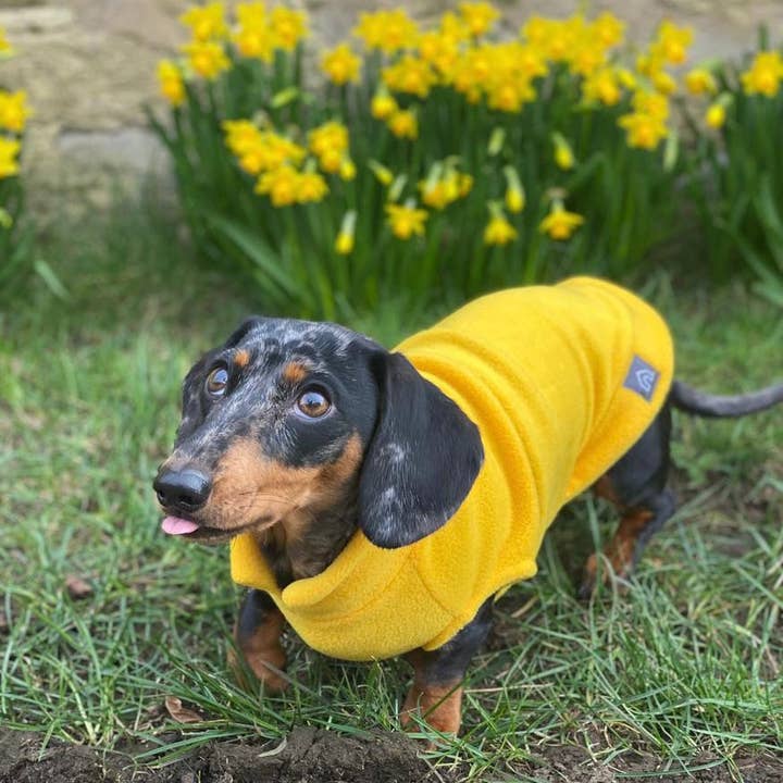 Doghouse – Großhandel Haustier-Pullover – Hund – Fleecepullover mit Dackelmotiv