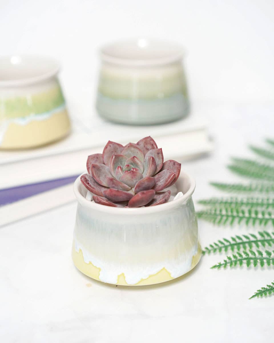 Springer Décor - Vendita all'ingrosso Vasi per piante - Piccolo Vaso Smaltato Tricolore4