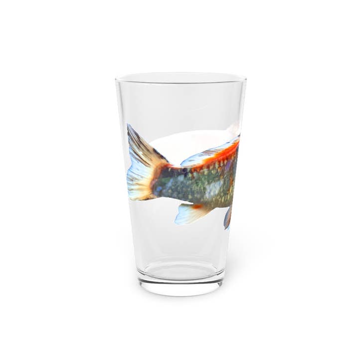 Marick Booster – wholesale Beer glass/mug – Koi Fish Pint Glass, 16oz1