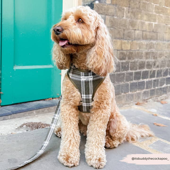 Cocopup London - Wholesale Pet Harness - Dog - Olive Check Adjustable Neck HARNESS21