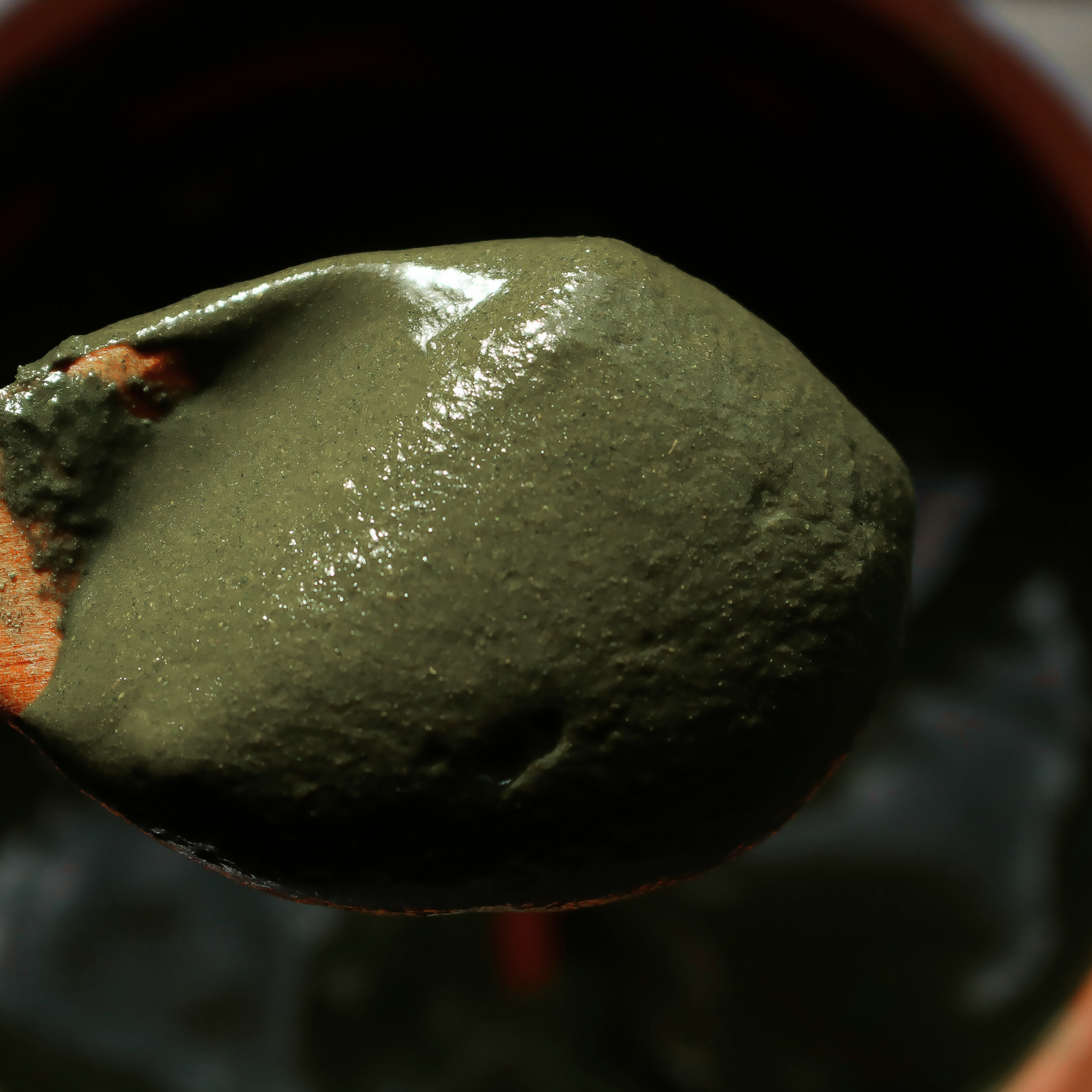 The Sacred Essence - Wholesale Scalp/Hair Treatment - HEAL Ayurvedic Mask For Damaged Hair and Dry Scalp - 240ML1