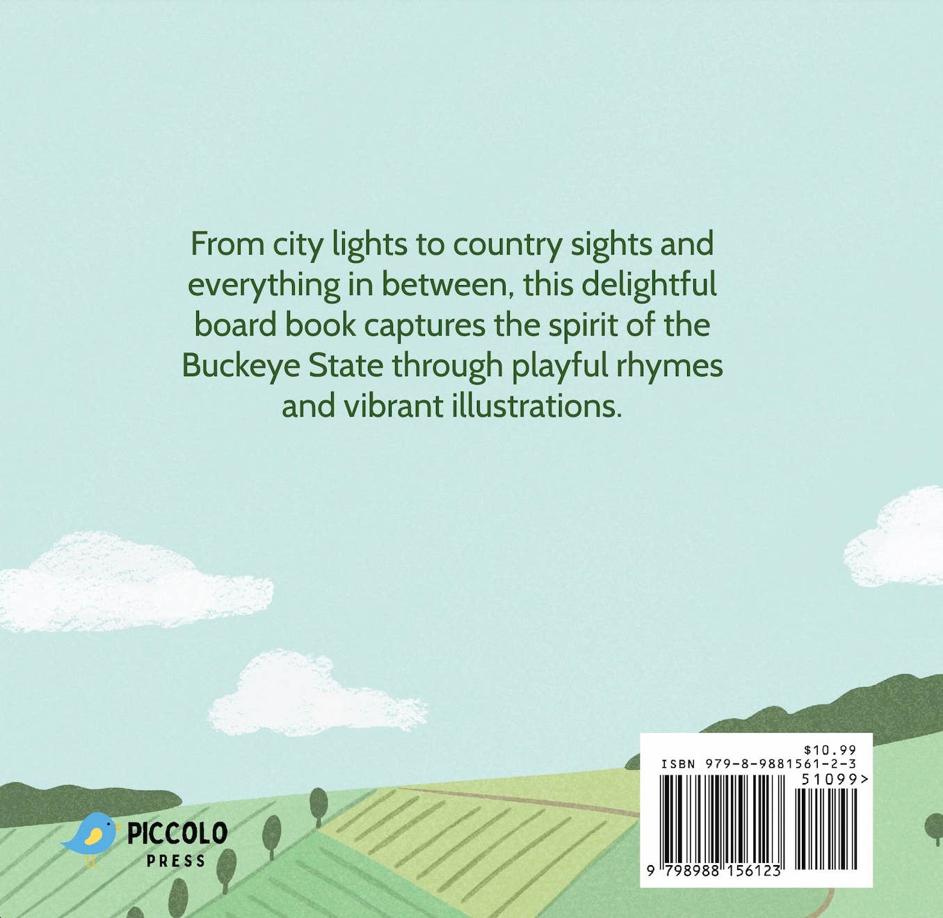 Piccolo Press - Wholesale Baby & Toddler Book (0-2) - Here in Ohio Board Book1