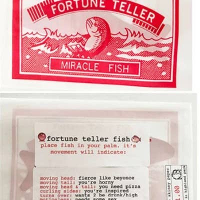 ratbone skinny + the oddball club - Wholesale Gag Gift/Novelty Gift - Fortune fish (12 per case)