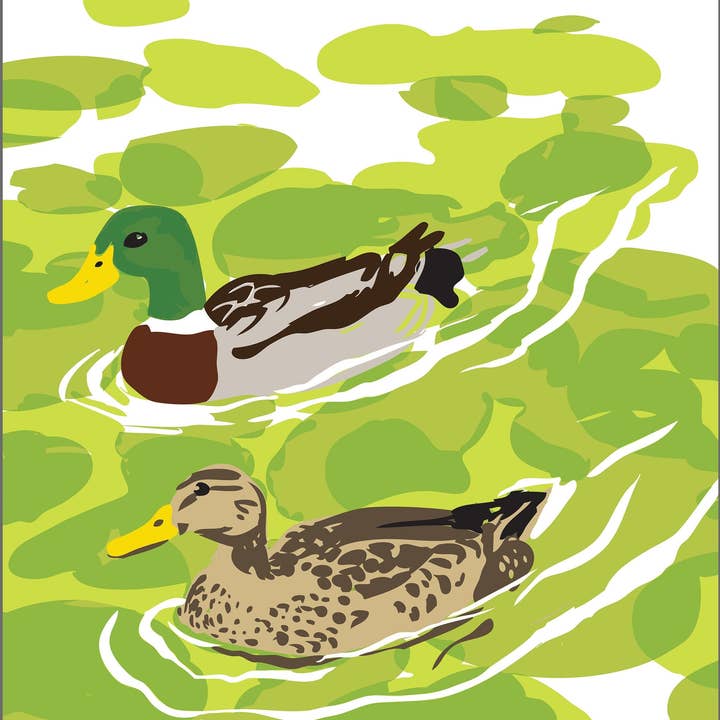 Gräsänder Konstaffisch: Vatten, Sjö, Flod & Strandfåglar för wholesale av Rigel Paper