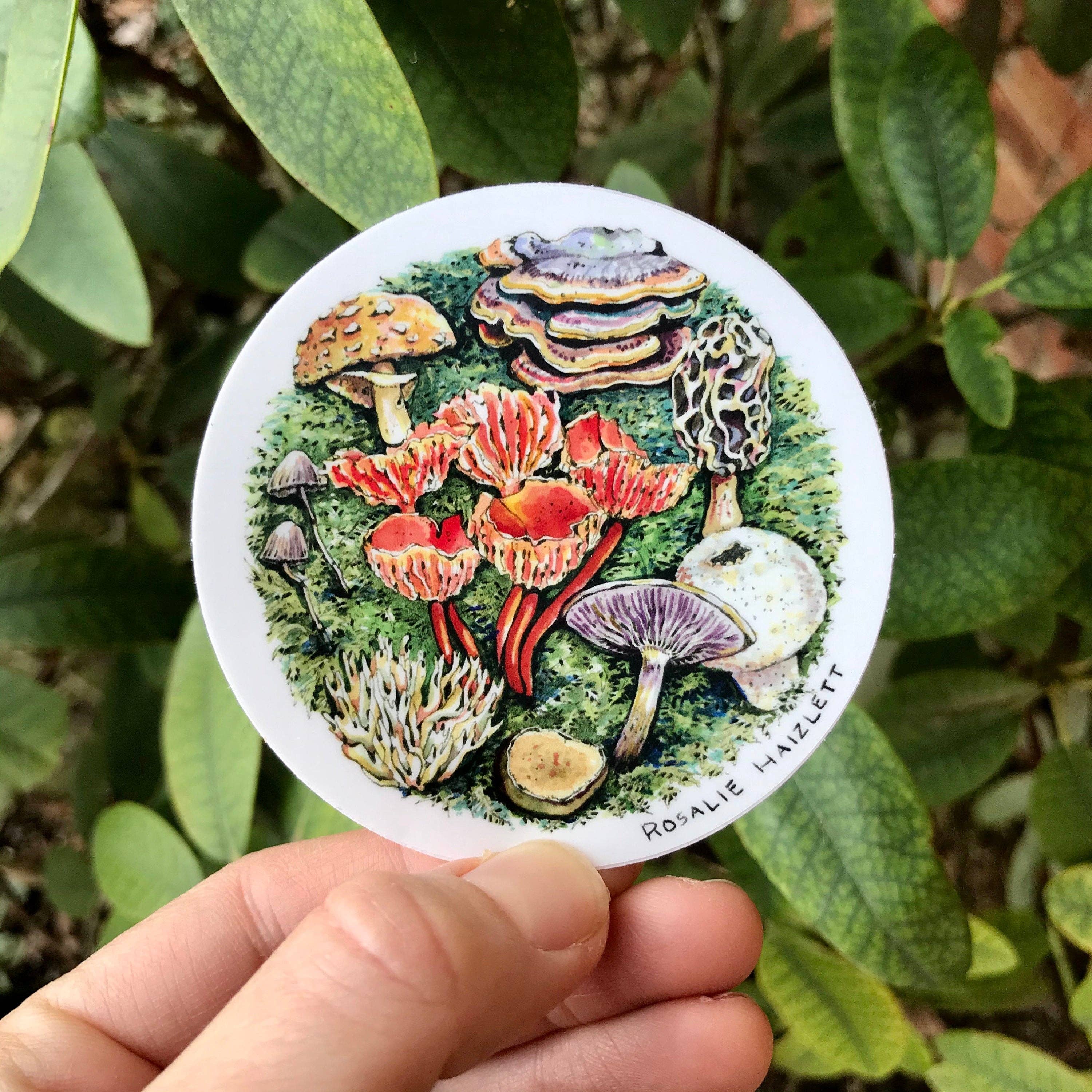 Rosalie Haizlett Illustration – Engroshandel Klistermærke – Skov svampe Vandtæt Sticker2