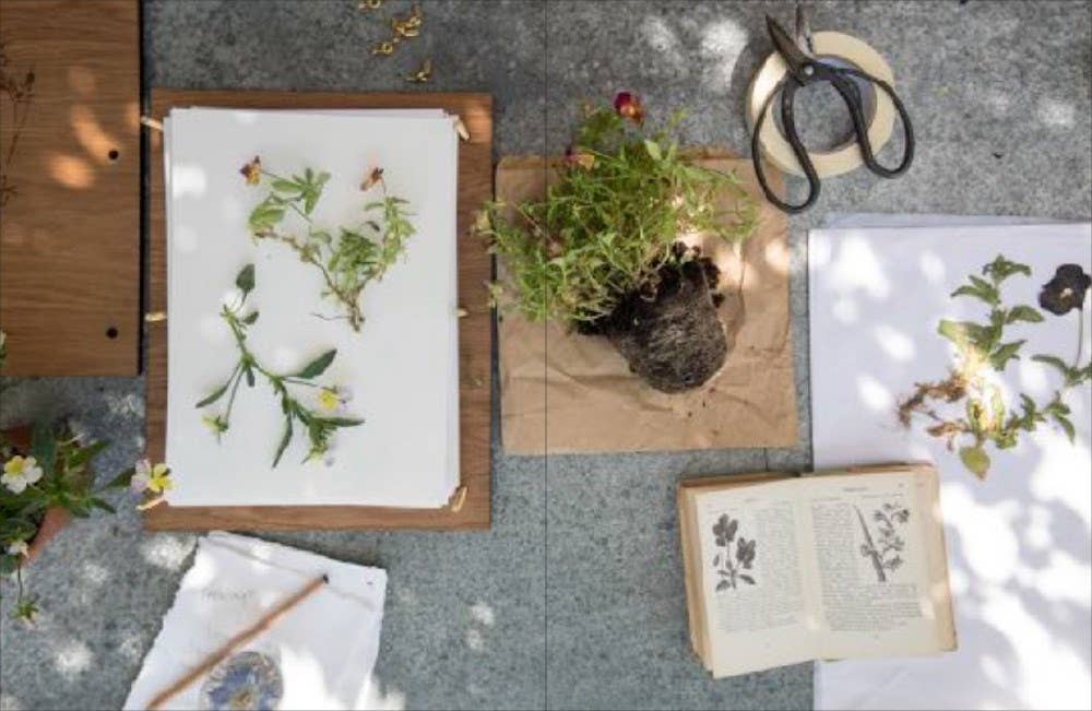 Abrams - Wholesale Crafts, Hobbies & DIY - The Modern Flower Press4