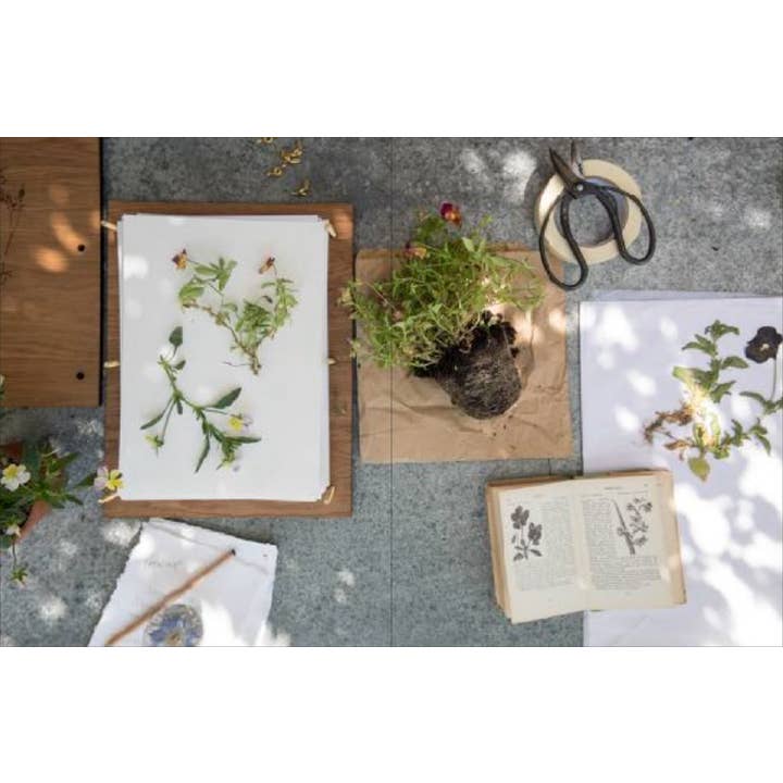 Abrams - Wholesale Crafts, Hobbies & DIY - The Modern Flower Press4