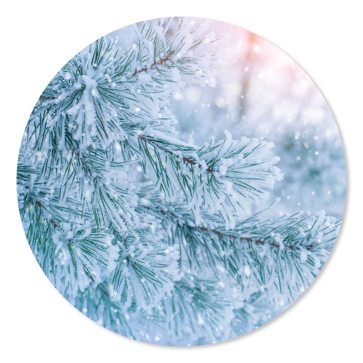 Círculo de Parede Branch Pinho Verde por atacado de GM decoratie