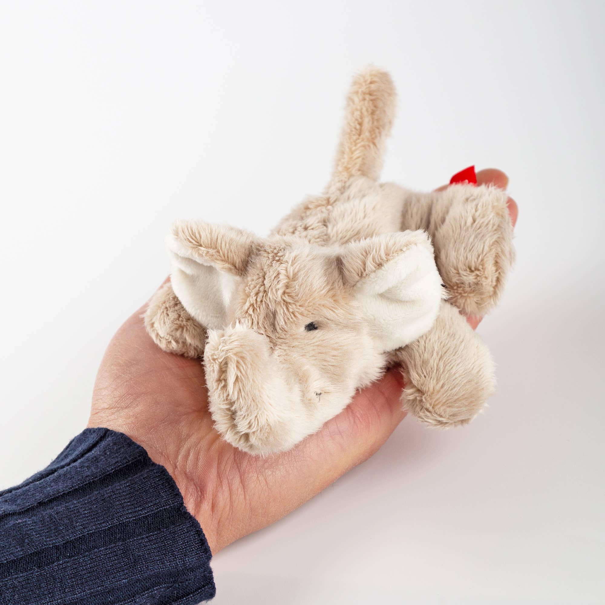 sigikid - Wholesale Stuffed/Plush Toy - Kids & Baby - Elephant - Mini Fluffy5